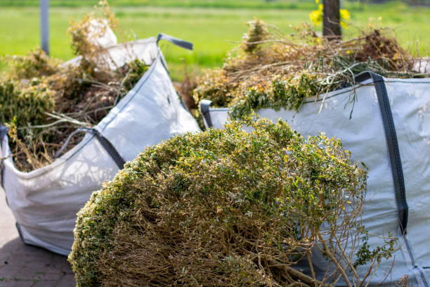 Best Construction Debris Removal  in Pinckney, MI