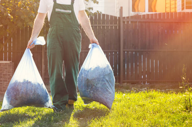 Best Dumpster Rental Services  in Pinckney, MI